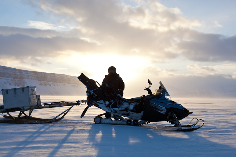 20110228_133925_Rowell-johanbacklit.jpg