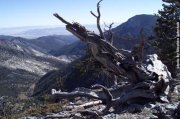 from top facing East